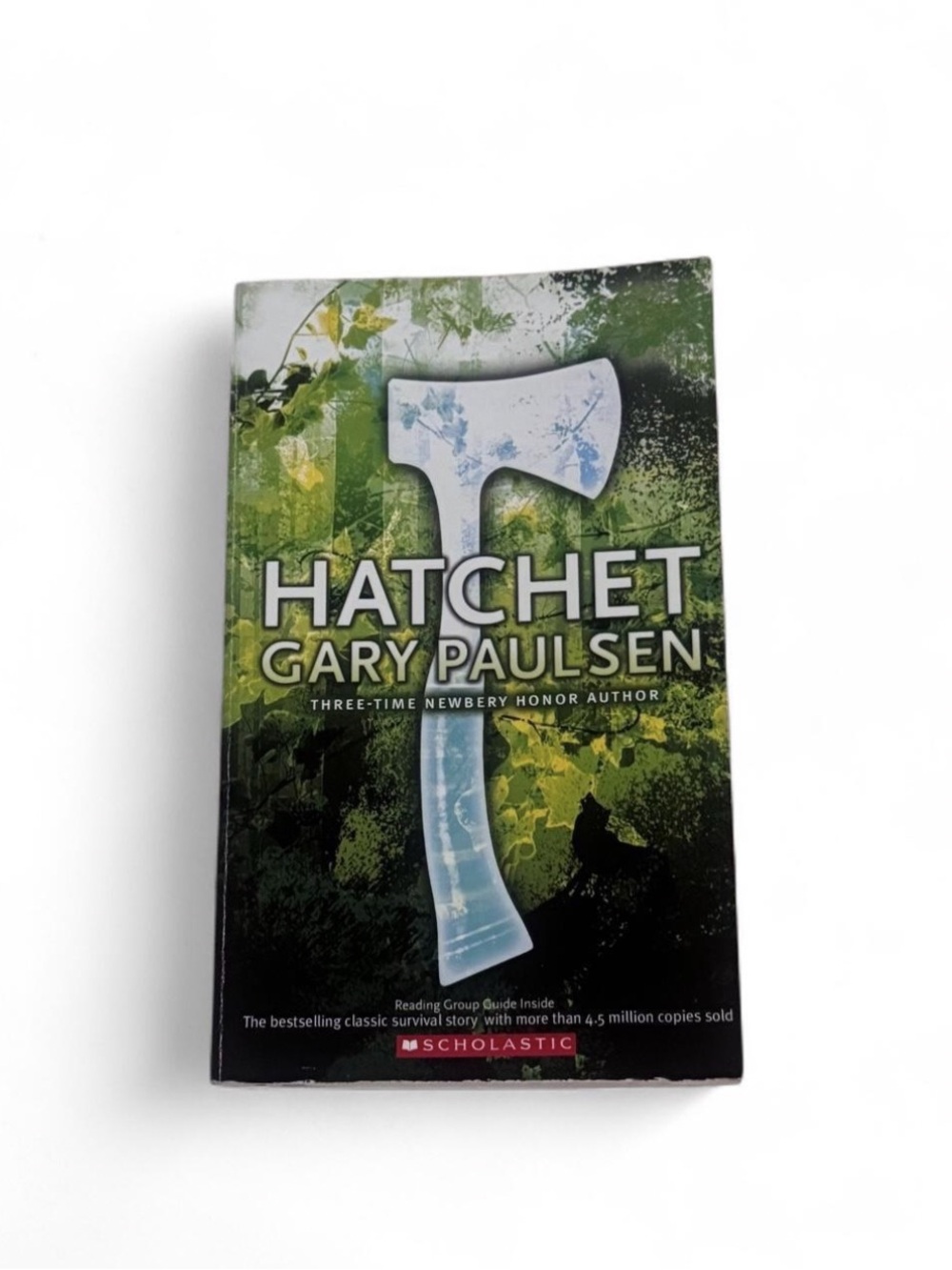 the hatchet book